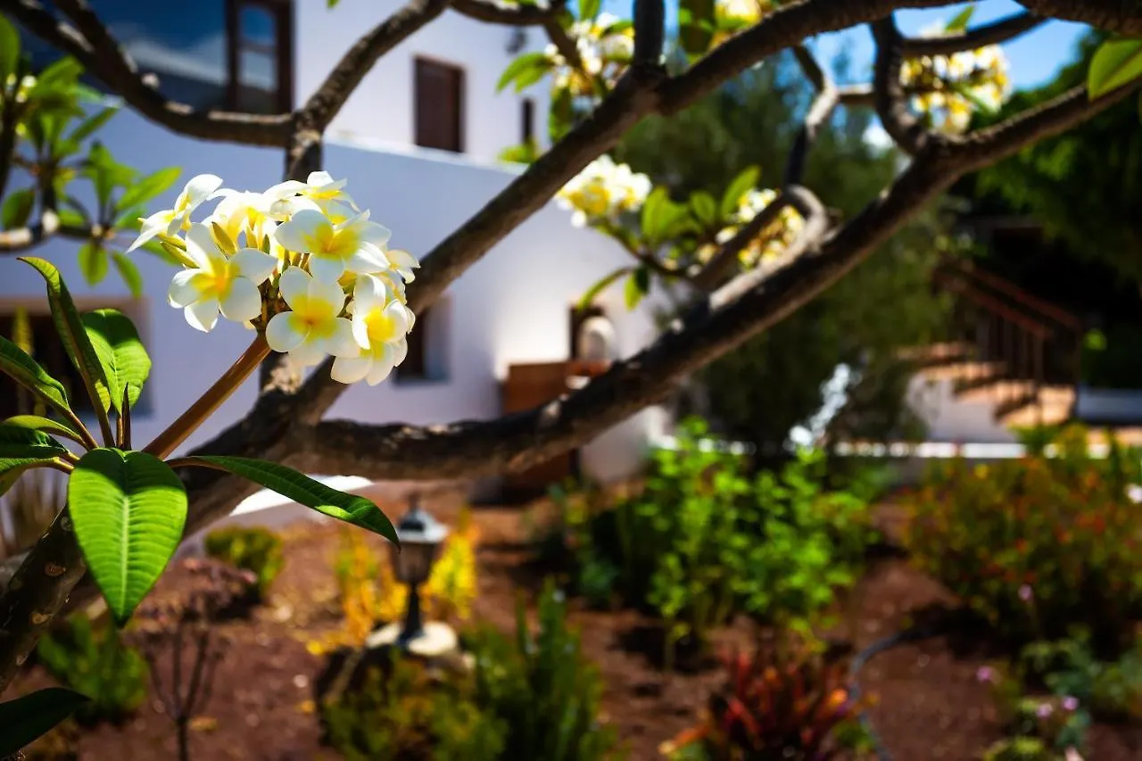 Apartment Villa Jupe Tias Spain